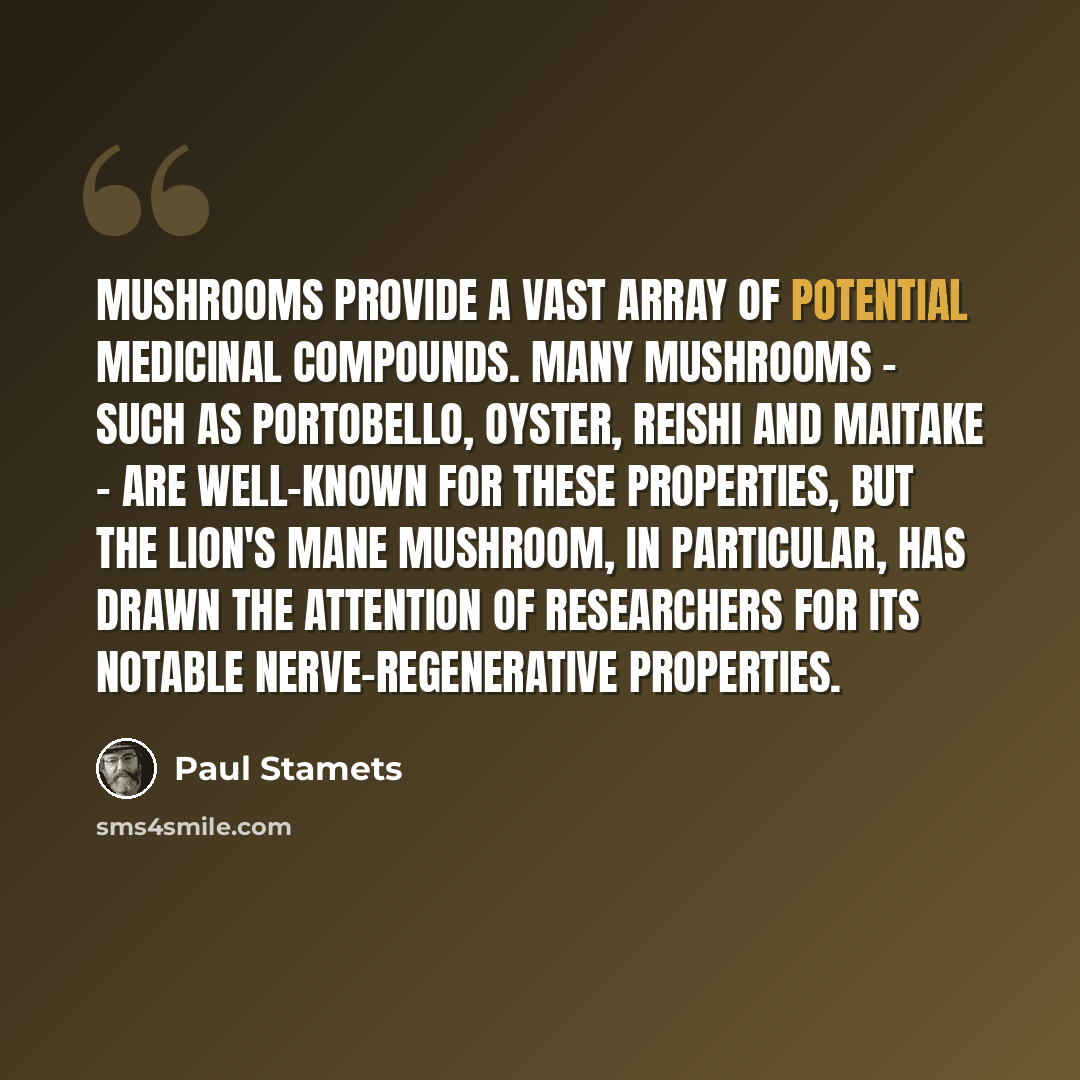 “Mushrooms provide a vast array of potential medicinal compounds. Many mushrooms - such as portobello, oyster, reishi and maitake - are well-known for these properties, but the lion's mane mushroom, in particular, has drawn the attention of researchers for its notable nerve-regenerative properties.” quote by Paul Stamets