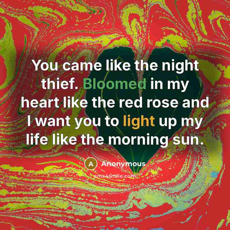“You came like the night thief. Bloomed in my heart like the red rose and I want you to light up my life like the morning sun.” quote by Anonymous