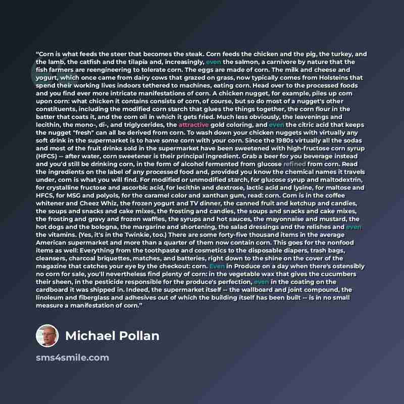 “Corn is what feeds the steer that becomes the steak. Corn feeds the chicken and the pig, the turkey, and the lamb, the catfish and the tilapia and, increasingly, even the salmon, a carnivore by nature that the fish farmers are reengineering to tolerate corn. The eggs are made of corn. The milk and…” quote by Michael Pollan