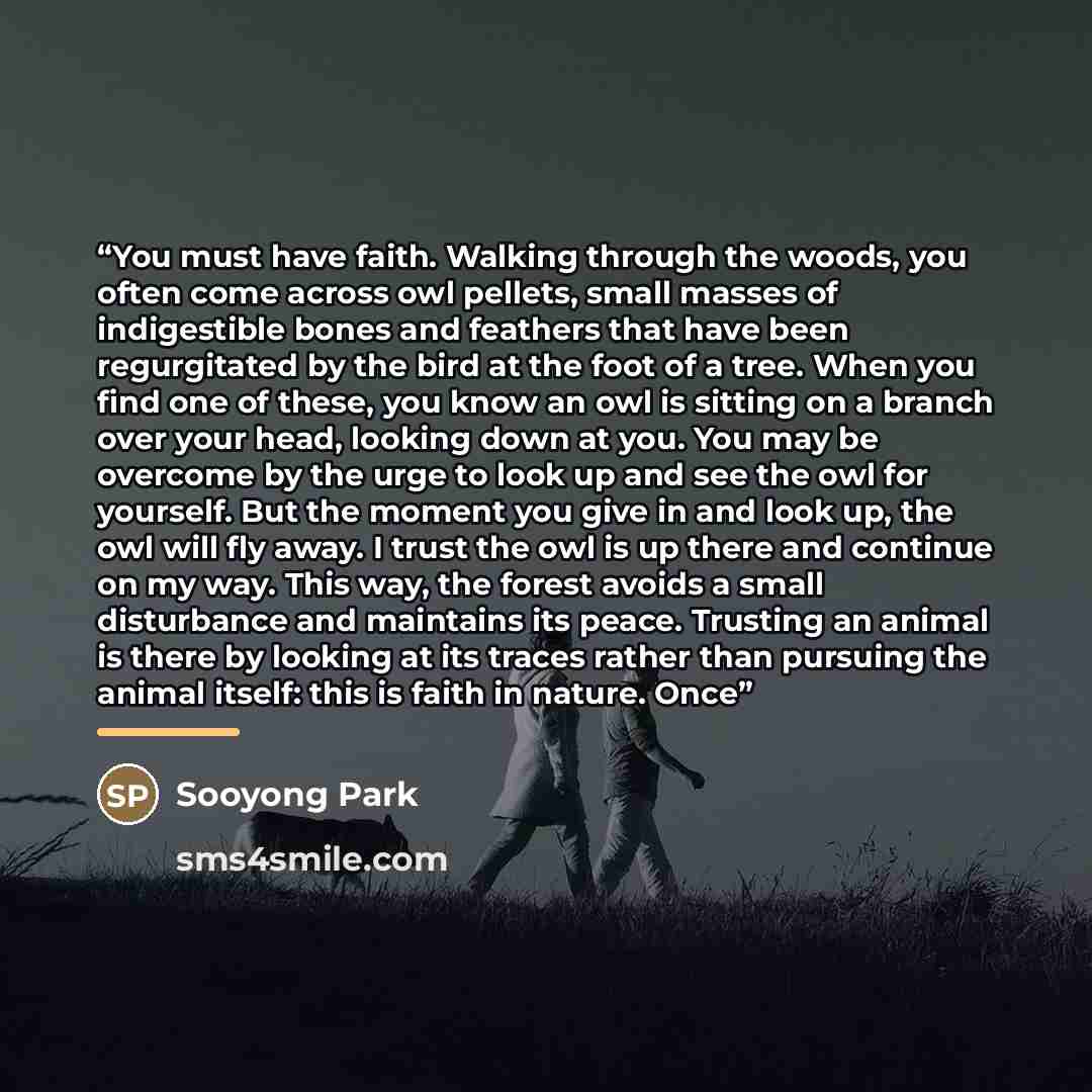 “You must have faith. Walking through the woods, you often come across owl pellets, small masses of indigestible bones and feathers that have been regurgitated by the bird at the foot of a tree. When you find one of these, you know an owl is sitting on a branch over your head, looking down at you…” quote by Sooyong Park