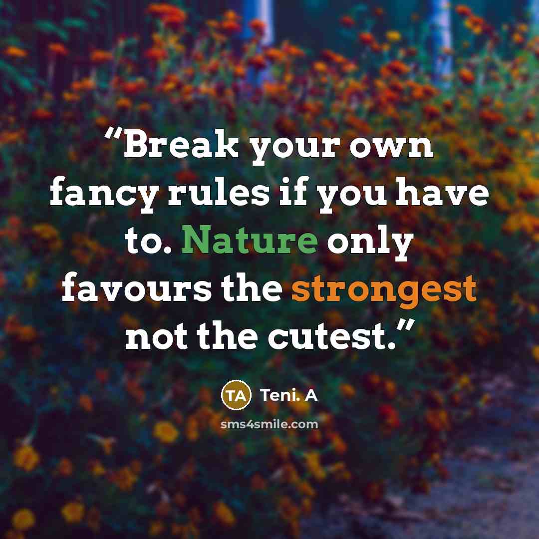 “Break your own fancy rules if you have to. Nature only favours the strongest not the cutest.” quote by Teni. A