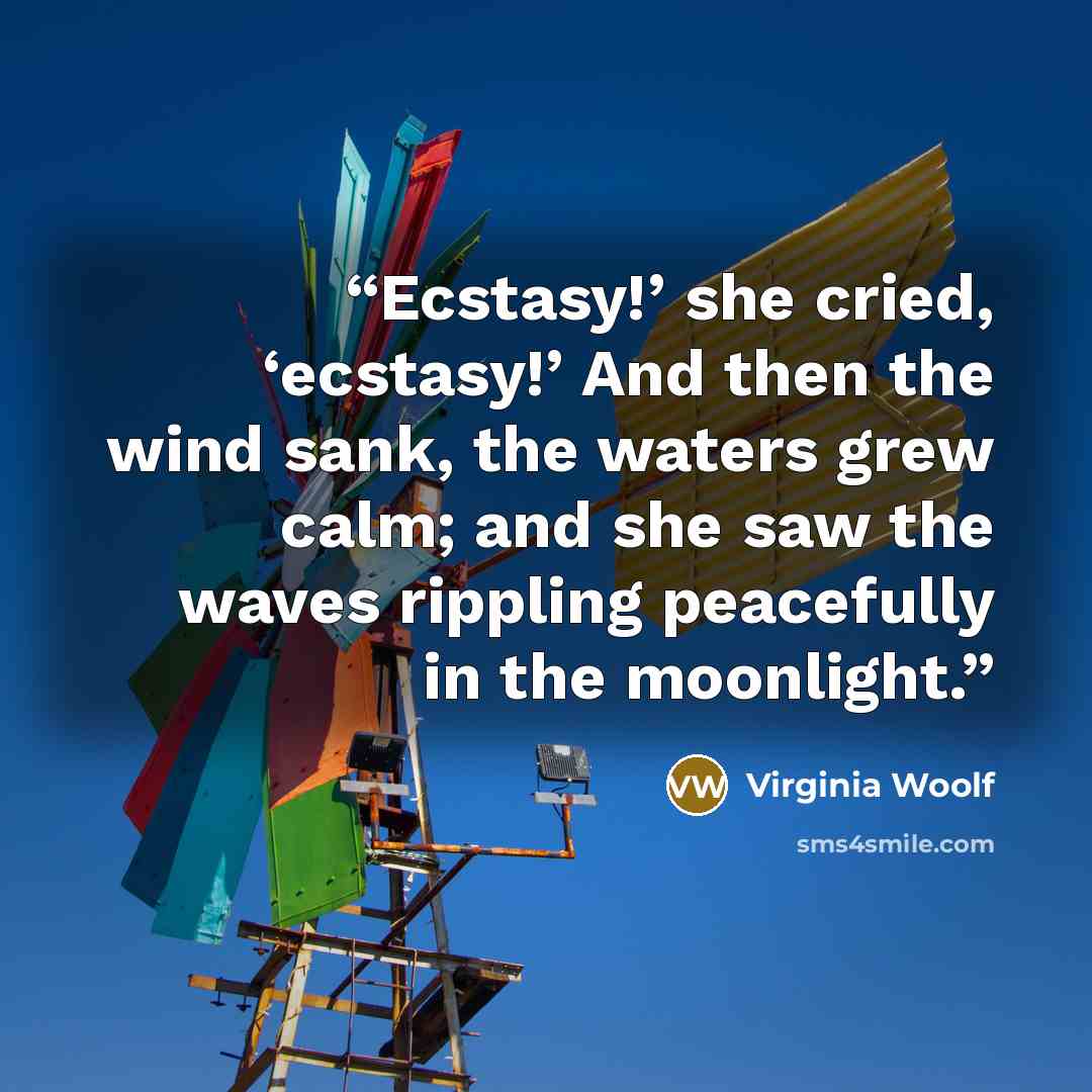 “Ecstasy!’ she cried, ‘ecstasy!’ And then the wind sank, the waters grew calm; and she saw the waves rippling peacefully in the moonlight.” quote by Virginia Woolf