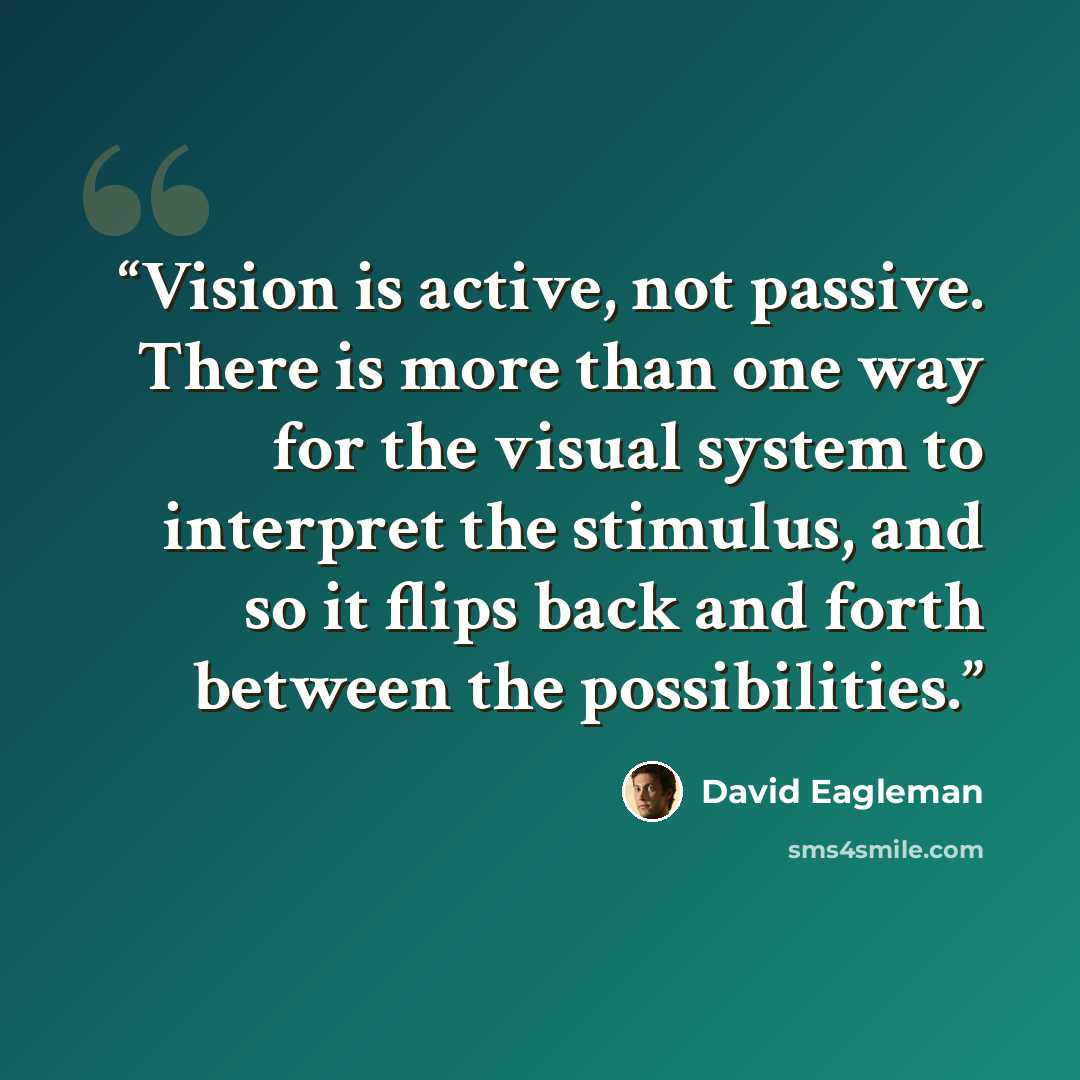 “Vision is active, not passive. There is more than one way for the visual system to interpret the stimulus, and so it flips back and forth between the possibilities.” quote by David Eagleman