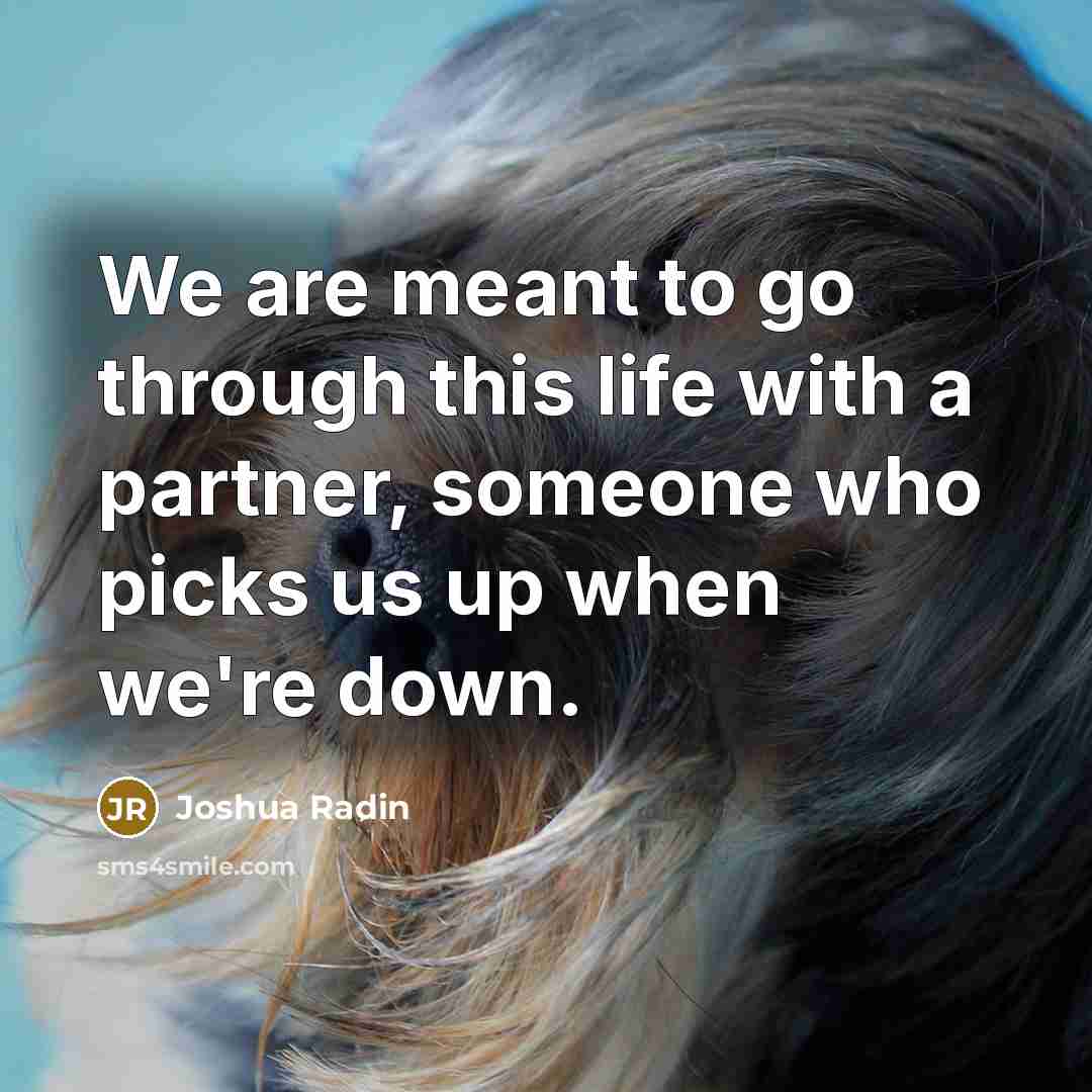 “We are meant to go through this life with a partner, someone who picks us up when we're down.” quote by Joshua Radin