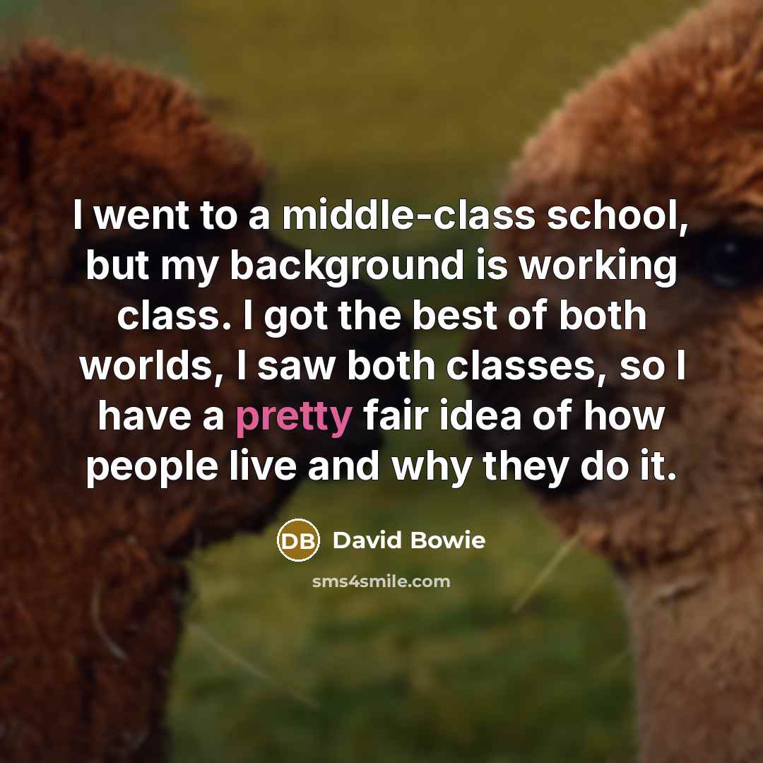 “I went to a middle-class school, but my background is working class. I got the best of both worlds, I saw both classes, so I have a pretty fair idea of how people live and why they do it.” quote by David Bowie