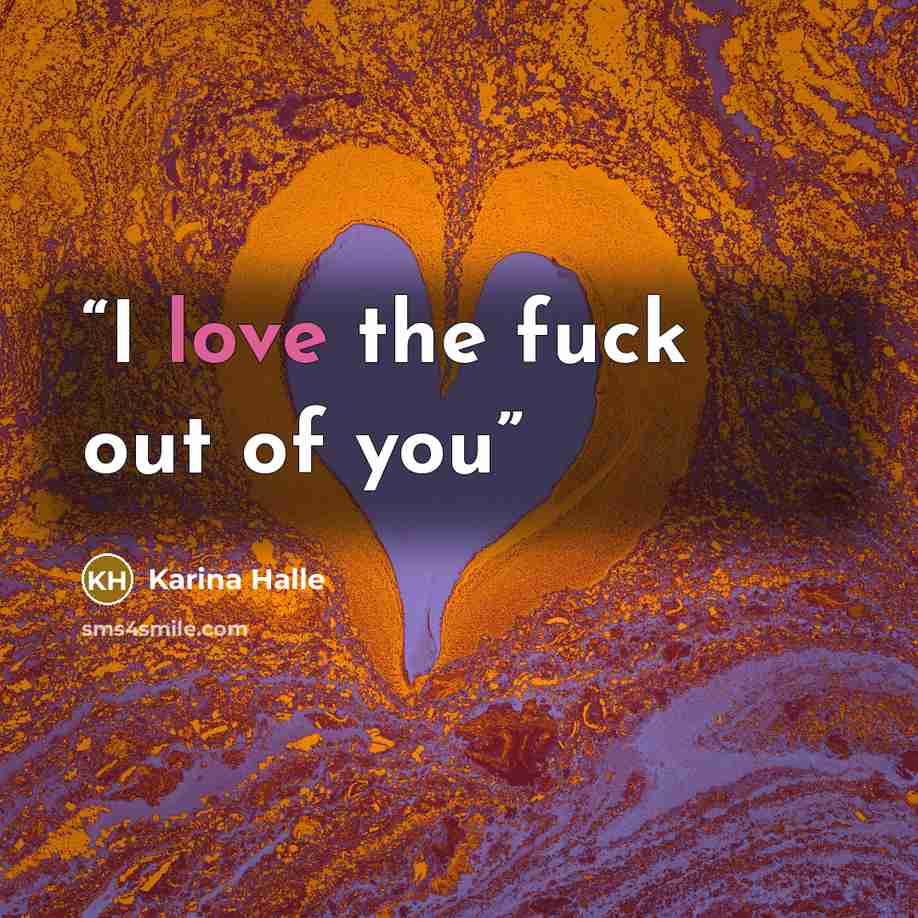 “I love the fuck out of you” quote by Karina Halle