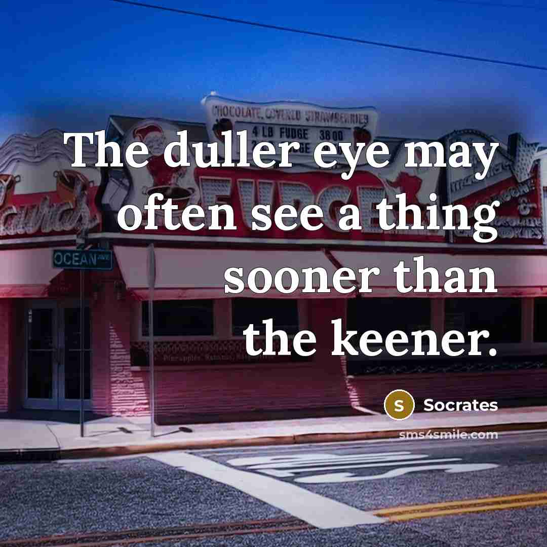 “The duller eye may often see a thing sooner than the keener.” quote by Socrates