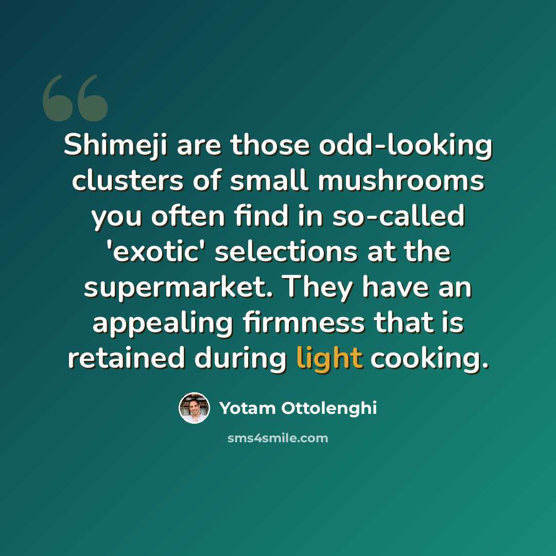 “Shimeji are those odd-looking clusters of small mushrooms you often find in so-called 'exotic' selections at the supermarket. They have an appealing firmness that is retained during light cooking.” quote by Yotam Ottolenghi