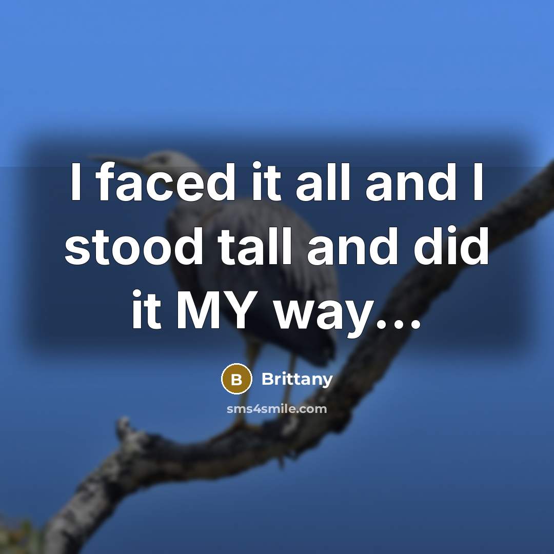 “I faced it all and I stood tall and did it MY way...” quote by Brittany