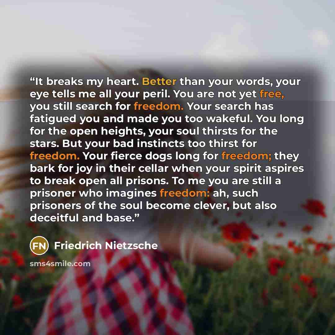 “It breaks my heart. Better than your words, your eye tells me all your peril. You are not yet free, you still search for freedom. Your search has fatigued you and made you too wakeful. You long for the open heights, your soul thirsts for the stars. But your bad instincts too thirst for freedom…” quote by Friedrich Nietzsche