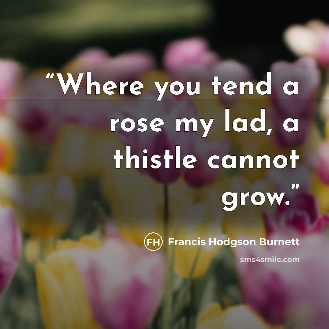 “Where you tend a rose my lad, a thistle cannot grow.” quote by Francis Hodgson Burnett