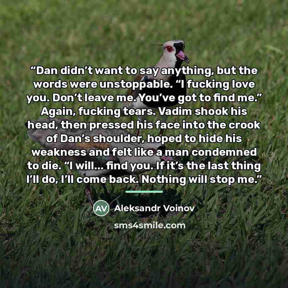 “Dan didn’t want to say anything, but the words were unstoppable. “I fucking love you. Don’t leave me. You’ve got to find me.” Again, fucking tears. Vadim shook his head, then pressed his face into the crook of Dan’s shoulder, hoped to hide his weakness and felt like a man condemned to die. “I…” quote by Aleksandr Voinov