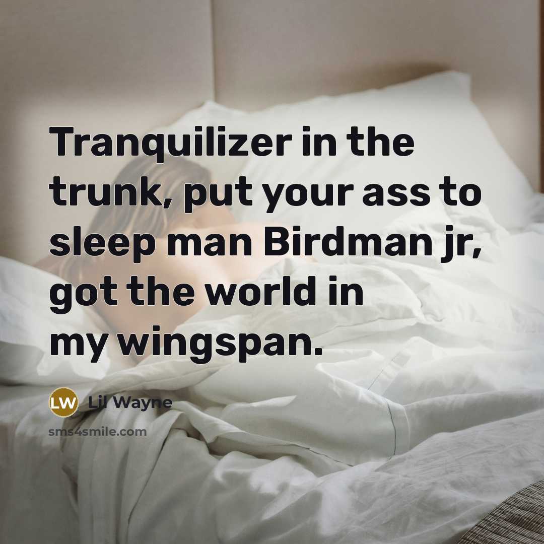 “Tranquilizer in the trunk, put your ass to sleep man Birdman jr, got the world in my wingspan.” quote by Lil Wayne