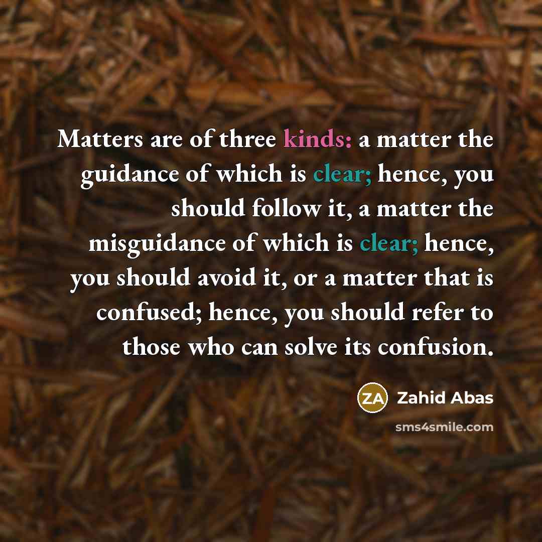 “Matters are of three kinds: a matter the guidance of which is clear; hence, you should follow it, a matter the misguidance of which is clear; hence, you should avoid it, or a matter that is confused; hence, you should refer to those who can solve its confusion.” quote by Zahid Abas