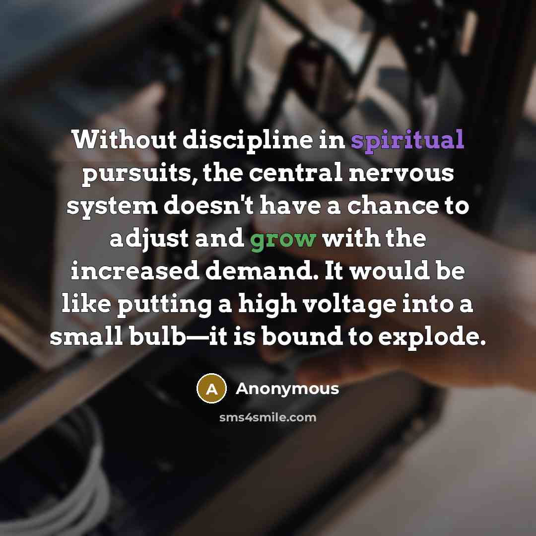 “Without discipline in spiritual pursuits, the central nervous system doesn't have a chance to adjust and grow with the increased demand. It would be like putting a high voltage into a small bulb—it is bound to explode.” quote by Anonymous
