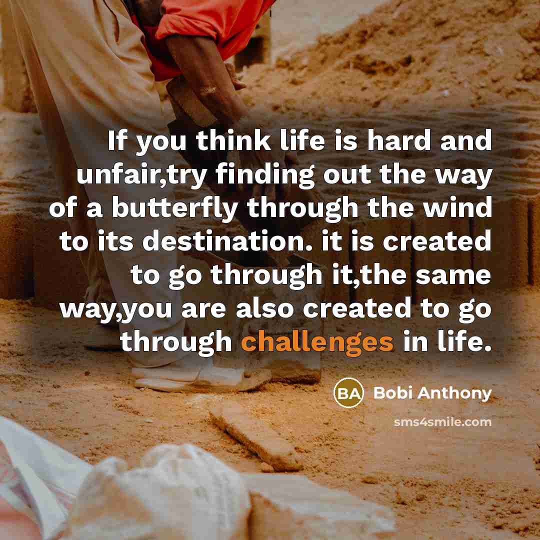 “If you think life is hard and unfair,try finding out the way of a butterfly through the wind to its destination. it is created to go through it,the same way,you are also created to go through challenges in life.” quote by Bobi Anthony