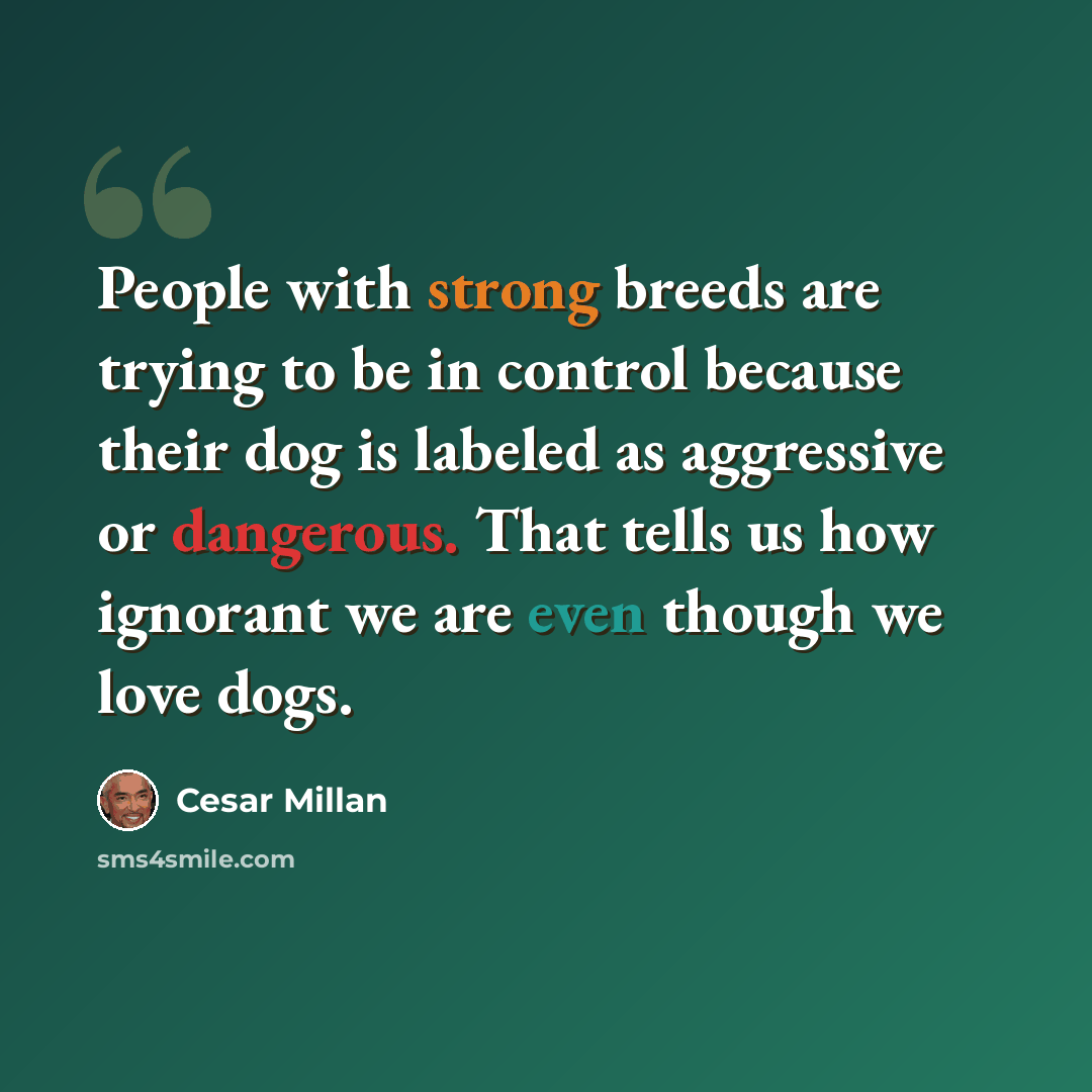 “People with strong breeds are trying to be in control because their dog is labeled as aggressive or dangerous. That tells us how ignorant we are even though we love dogs.” quote by Cesar Millan
