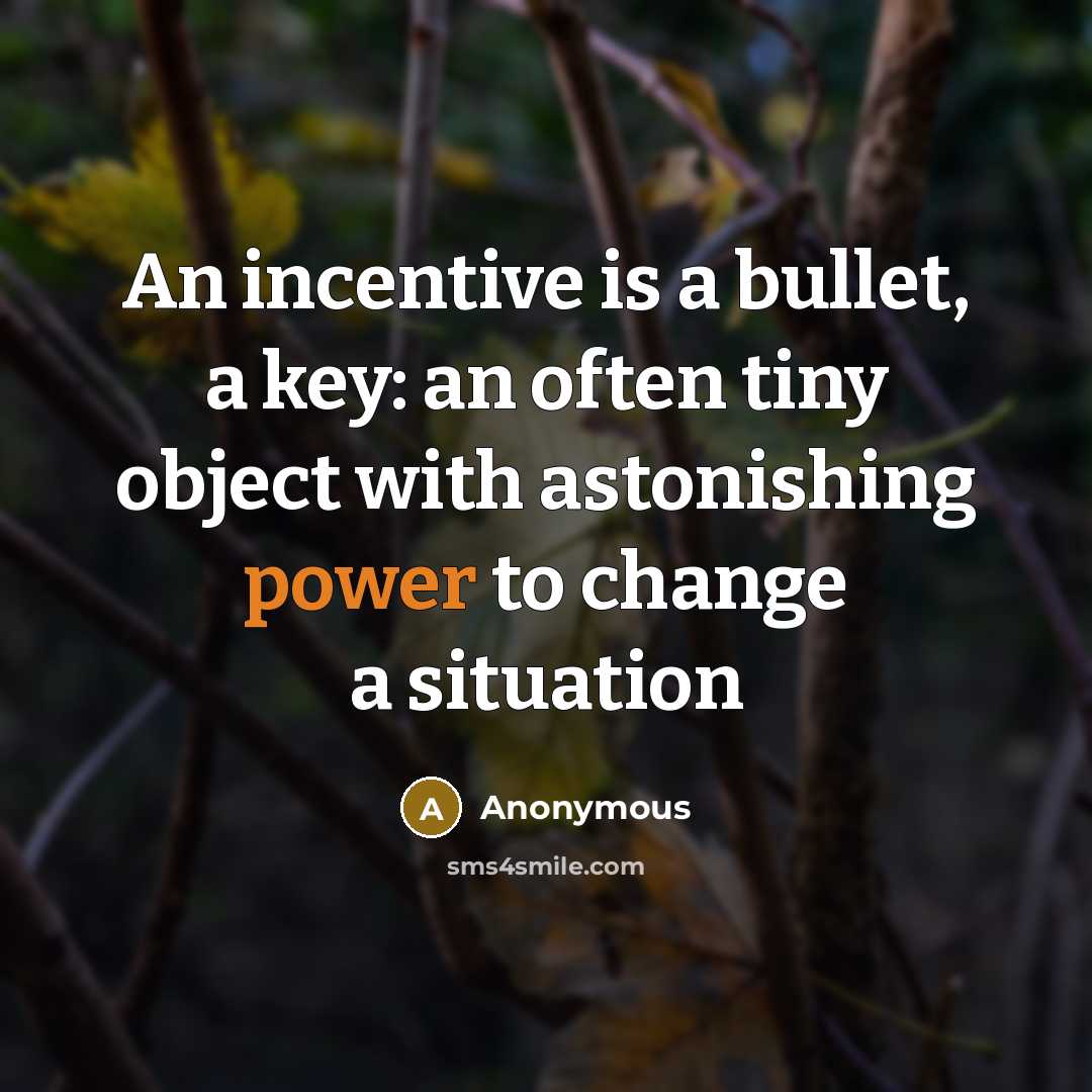“An incentive is a bullet, a key: an often tiny object with astonishing power to change a situation” quote by Anonymous