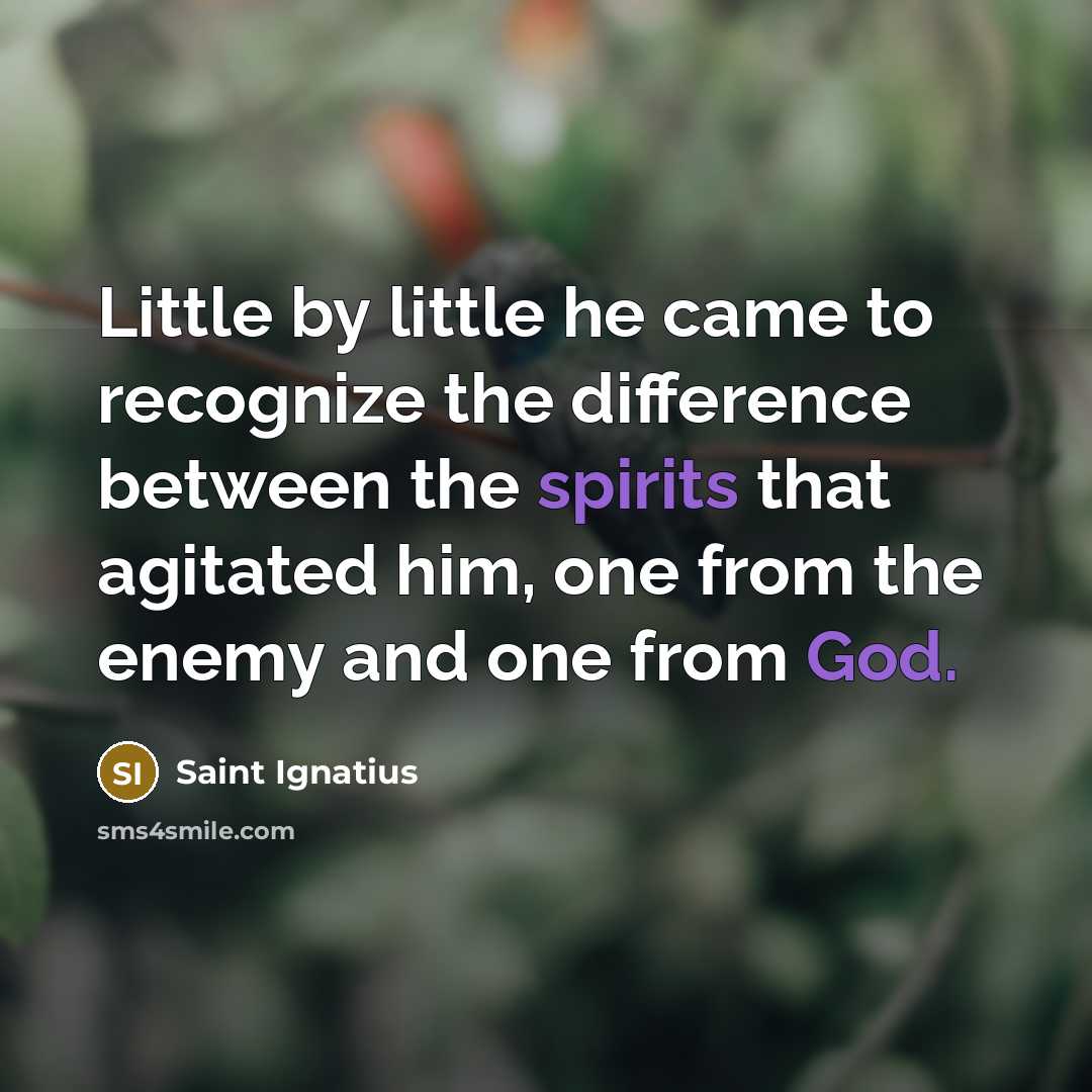“Little by little he came to recognize the difference between the spirits that agitated him, one from the enemy and one from God.” quote by Saint Ignatius