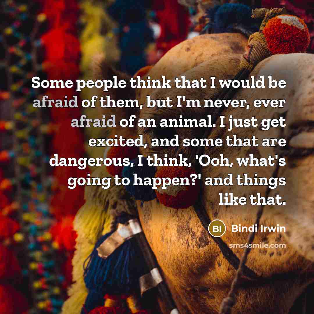 “Some people think that I would be afraid of them, but I'm never, ever afraid of an animal. I just get excited, and some that are dangerous, I think, 'Ooh, what's going to happen?' and things like that.” quote by Bindi Irwin