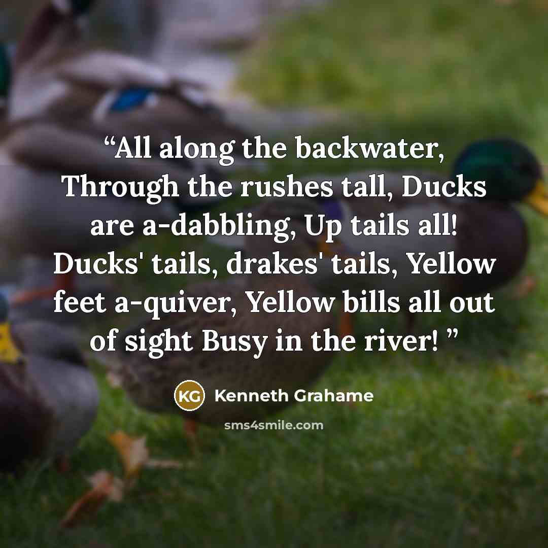 “All along the backwater, Through the rushes tall, Ducks are a-dabbling, Up tails all! Ducks' tails, drakes' tails, Yellow feet a-quiver, Yellow bills all out of sight Busy in the river!” quote by Kenneth Grahame