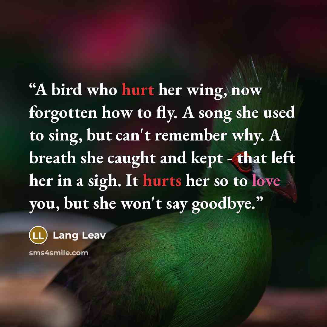 “A bird who hurt her wing, now forgotten how to fly. A song she used to sing, but can't remember why. A breath she caught and kept - that left her in a sigh. It hurts her so to love you, but she won't say goodbye.” quote by Lang Leav
