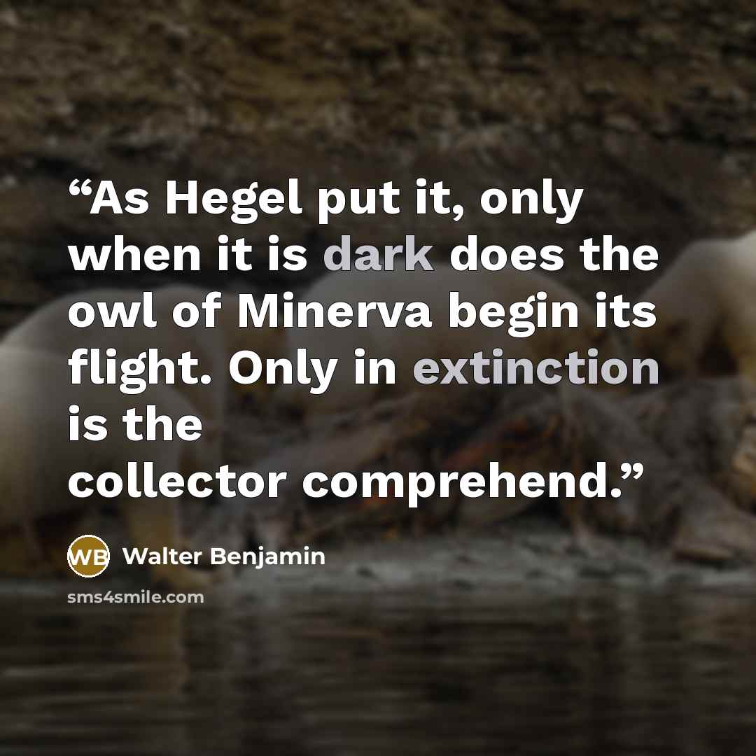 “As Hegel put it, only when it is dark does the owl of Minerva begin its flight. Only in extinction is the collector comprehend.” quote by Walter Benjamin