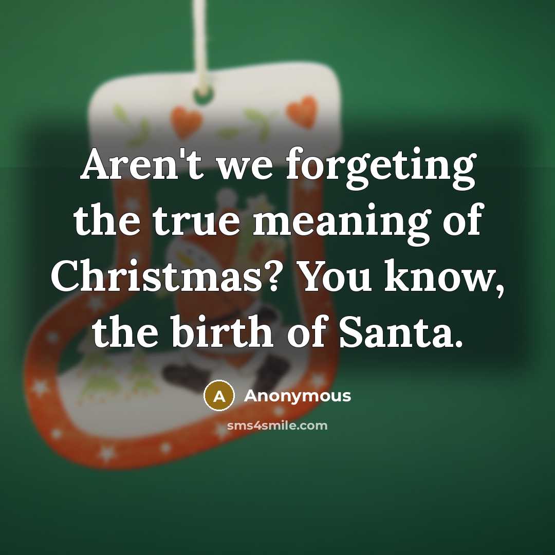 “Aren't we forgeting the true meaning of Christmas? You know, the birth of Santa.” quote by Anonymous