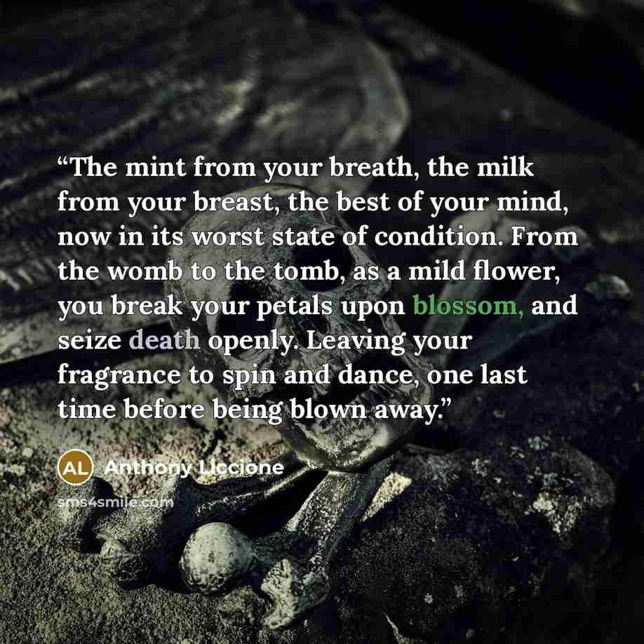 “The mint from your breath, the milk from your breast, the best of your mind, now in its worst state of condition. From the womb to the tomb, as a mild flower, you break your petals upon blossom, and seize death openly. Leaving your fragrance to spin and dance, one last time before being blown away.” quote by Anthony Liccione