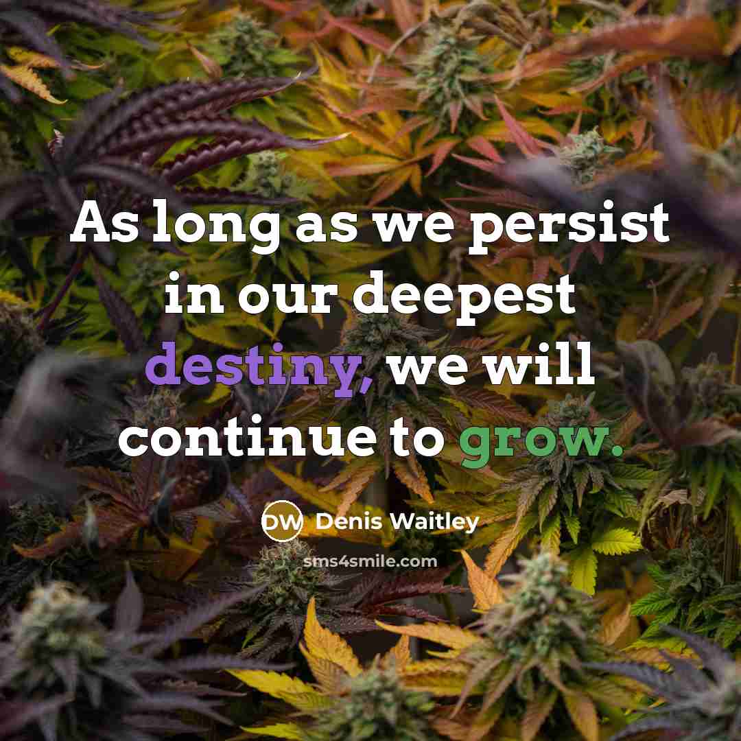 “As long as we persist in our deepest destiny, we will continue to grow.” quote by Denis Waitley