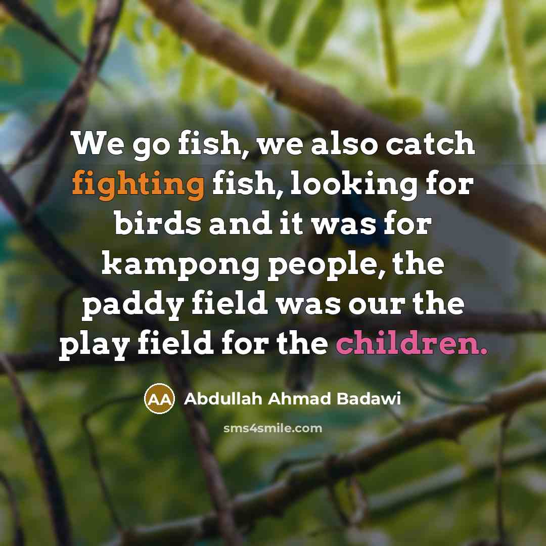 “We go fish, we also catch fighting fish, looking for birds and it was for kampong people, the paddy field was our the play field for the children.” quote by Abdullah Ahmad Badawi