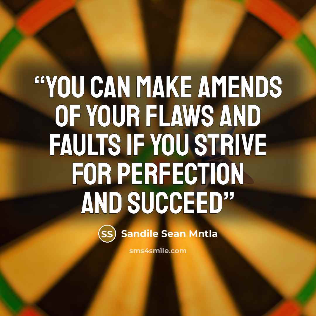 “You can make amends of your flaws and faults if you strive for perfection and succeed” quote by Sandile Sean Mntla