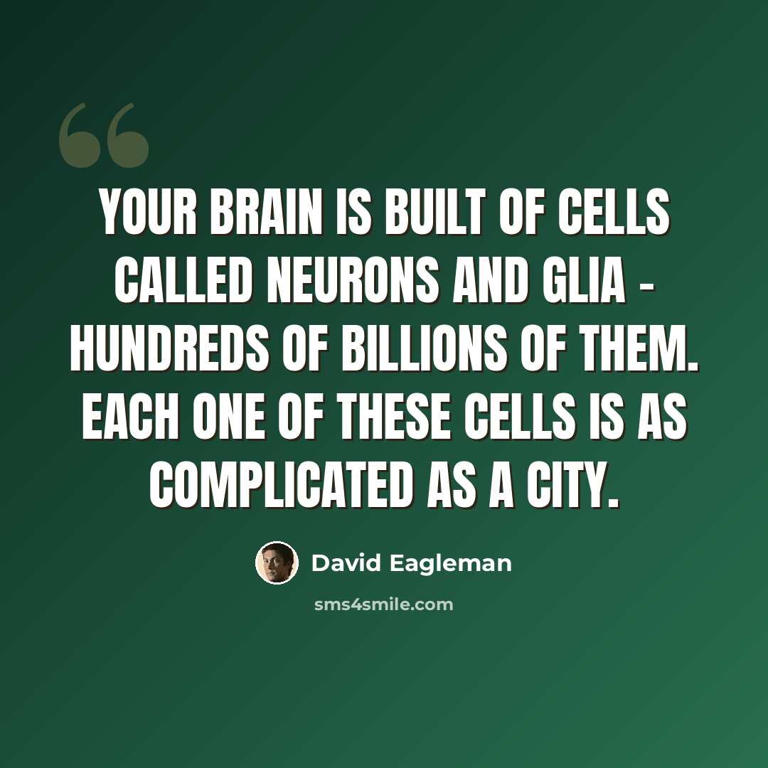 “Your brain is built of cells called neurons and glia - hundreds of billions of them. Each one of these cells is as complicated as a city.” quote by David Eagleman