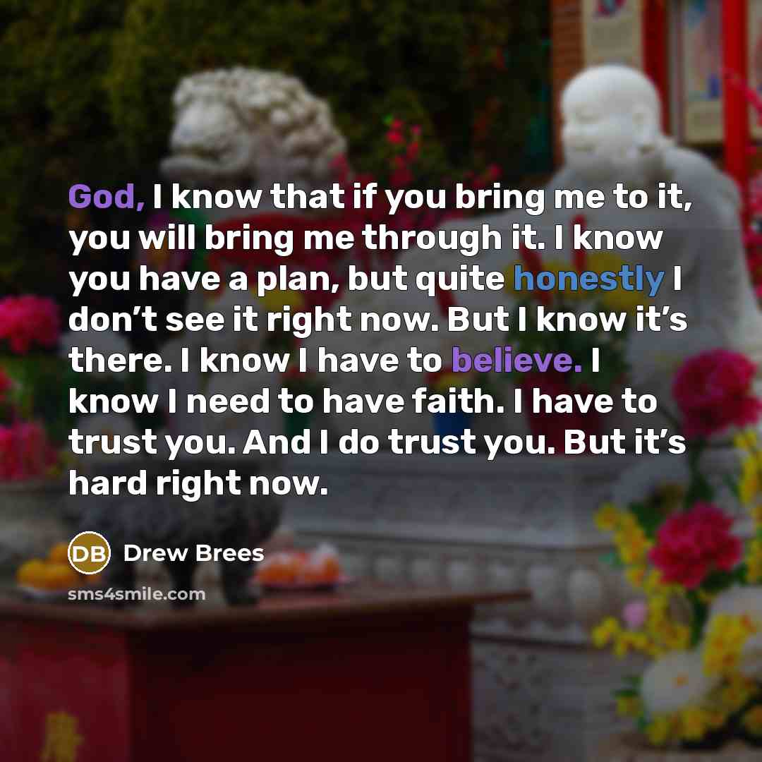 “God, I know that if you bring me to it, you will bring me through it. I know you have a plan, but quite honestly I don’t see it right now. But I know it’s there. I know I have to believe. I know I need to have faith. I have to trust you. And I do trust you. But it’s hard right now.” quote by Drew Brees
