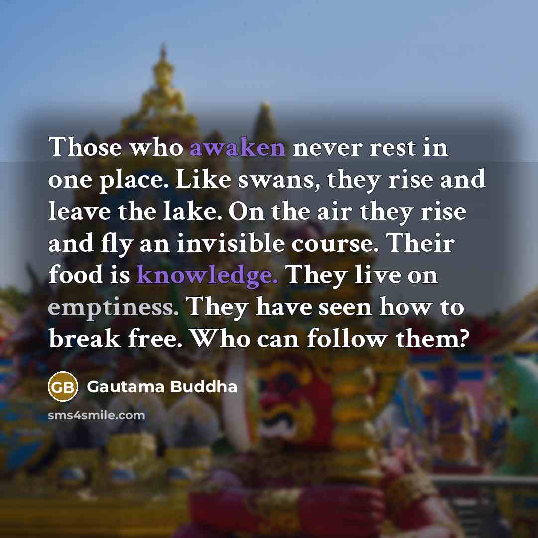 “Those who awaken never rest in one place. Like swans, they rise and leave the lake. On the air they rise and fly an invisible course. Their food is knowledge. They live on emptiness. They have seen how to break free. Who can follow them?” quote by Gautama Buddha
