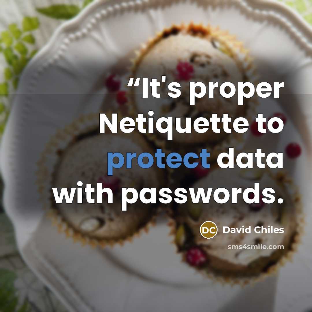““It's proper Netiquette to protect data with passwords.” quote by David Chiles