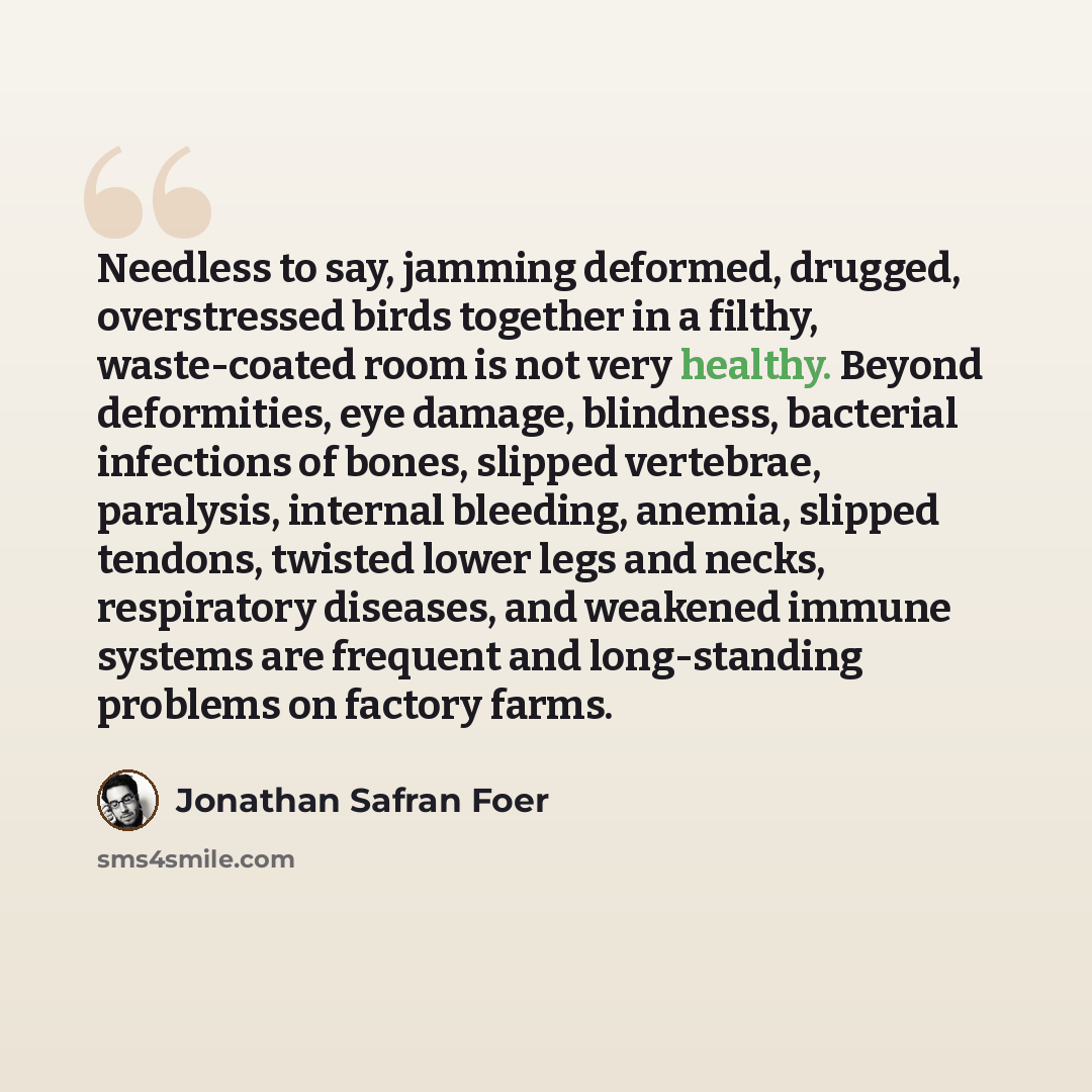 “Needless to say, jamming deformed, drugged, overstressed birds together in a filthy, waste-coated room is not very healthy. Beyond deformities, eye damage, blindness, bacterial infections of bones, slipped vertebrae, paralysis, internal bleeding, anemia, slipped tendons, twisted lower legs and…” quote by Jonathan Safran Foer