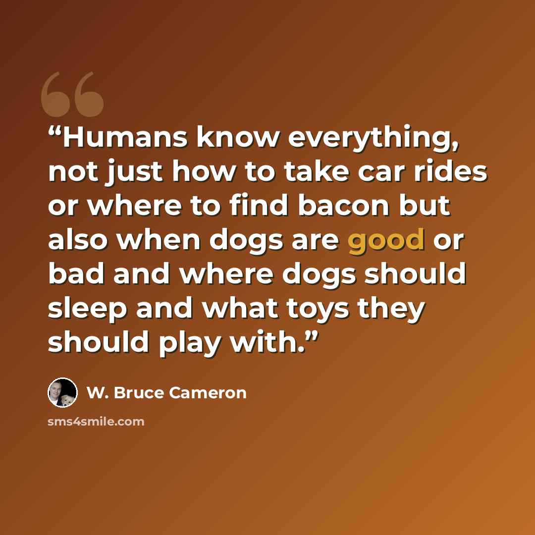 “Humans know everything, not just how to take car rides or where to find bacon but also when dogs are good or bad and where dogs should sleep and what toys they should play with.” quote by W. Bruce Cameron