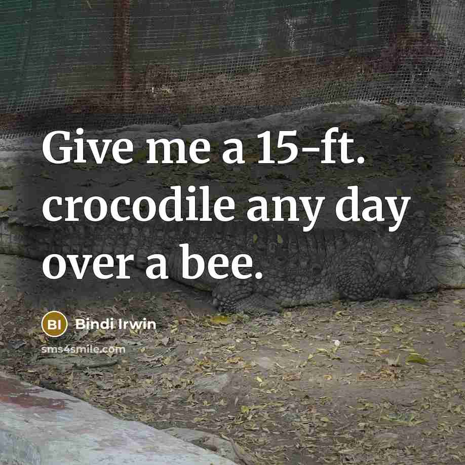 “Give me a 15-ft. crocodile any day over a bee.” quote by Bindi Irwin