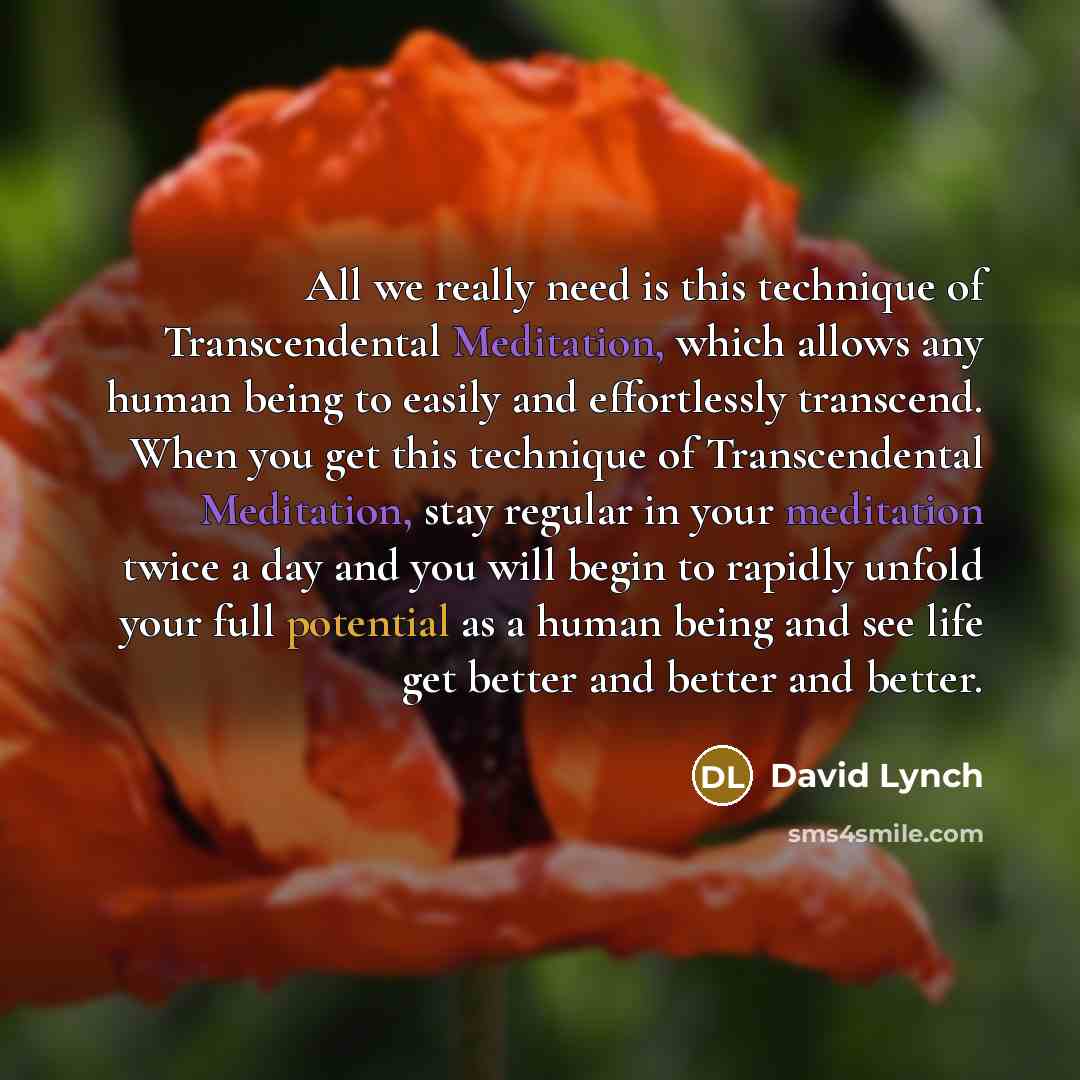 “All we really need is this technique of Transcendental Meditation, which allows any human being to easily and effortlessly transcend. When you get this technique of Transcendental Meditation, stay regular in your meditation twice a day and you will begin to rapidly unfold your full potential as a…” quote by David Lynch