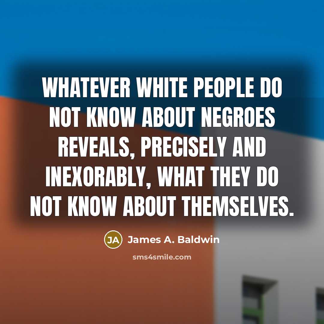 “Whatever white people do not know about Negroes reveals, precisely and inexorably, what they do not know about themselves.” quote by James A. Baldwin