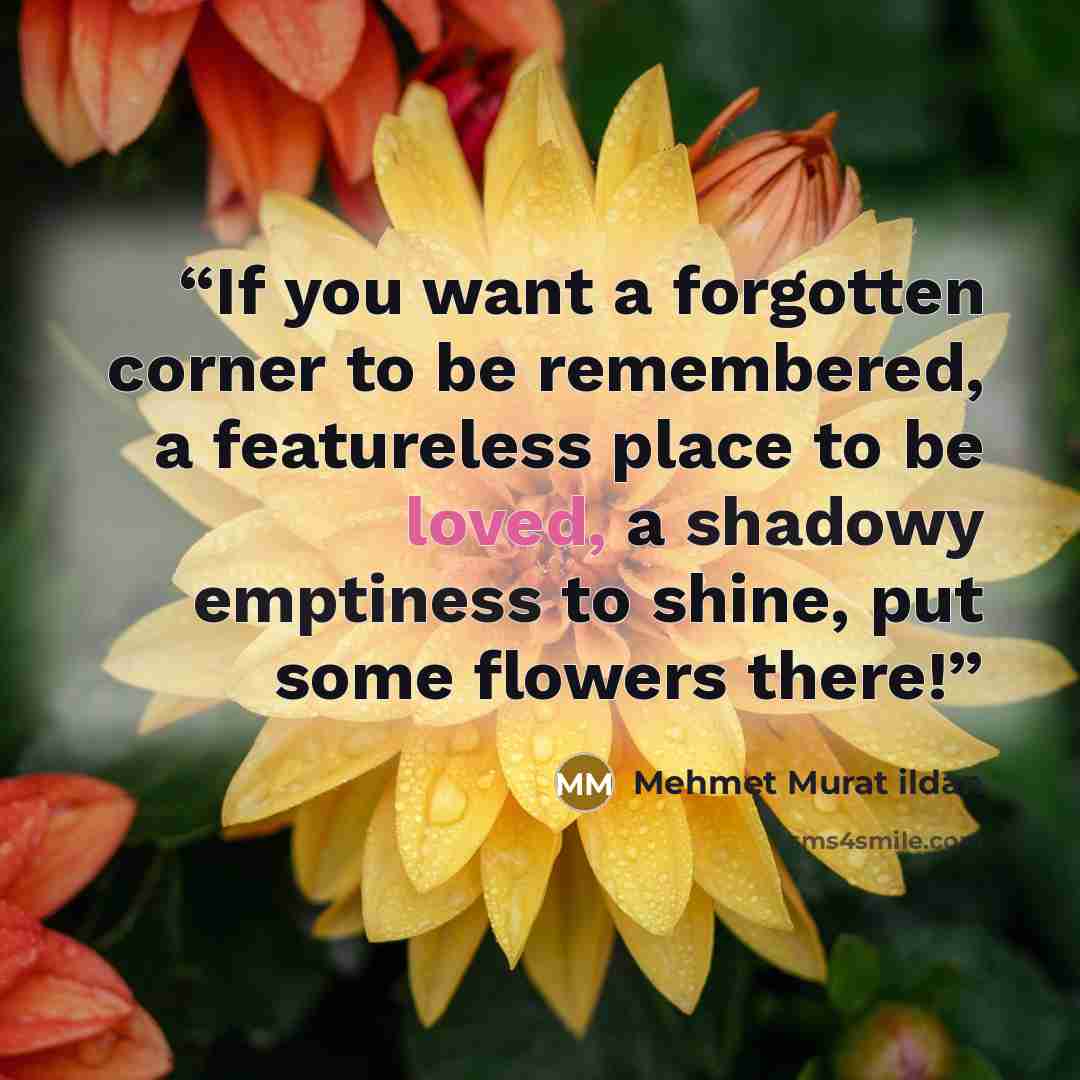 “If you want a forgotten corner to be remembered, a featureless place to be loved, a shadowy emptiness to shine, put some flowers there!” quote by Mehmet Murat ildan