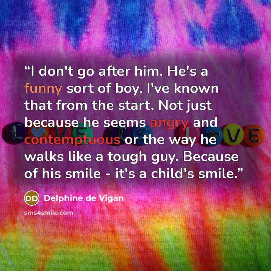 “I don't go after him. He's a funny sort of boy. I've known that from the start. Not just because he seems angry and contemptuous or the way he walks like a tough guy. Because of his smile - it's a child's smile.” quote by Delphine de Vigan