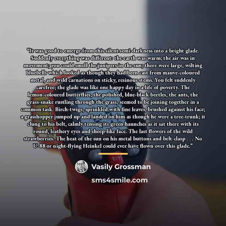 “It was good to emerge from this silent semi-darkness into a bright glade. Suddenly everything was different: the earth was warm; the air was in movement; you could smell the junipers in the sun; there were large, wilting bluebells which looked as though they had been cast from mauve-coloured…” quote by Vasily Grossman