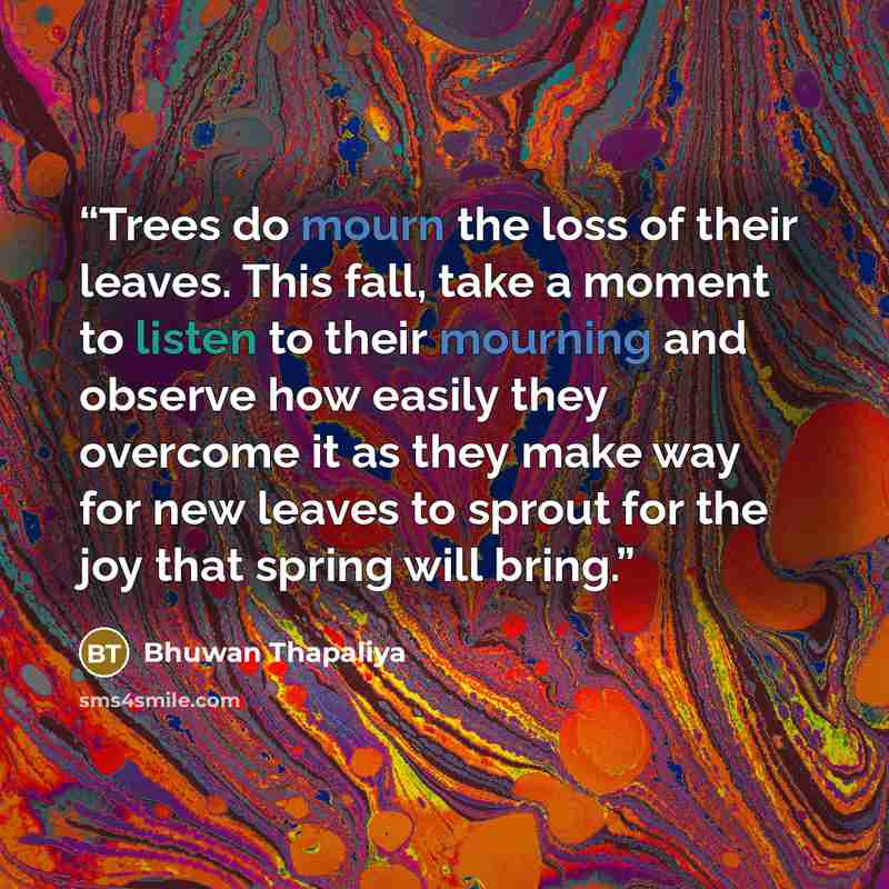 “Trees do mourn the loss of their leaves. This fall, take a moment to listen to their mourning and observe how easily they overcome it as they make way for new leaves to sprout for the joy that spring will bring.” quote by Bhuwan Thapaliya