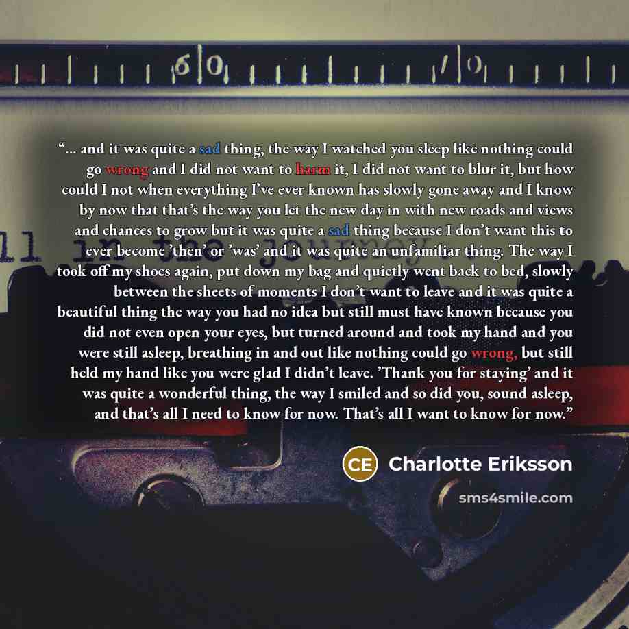 “... and it was quite a sad thing, the way I watched you sleep like nothing could go wrong and I did not want to harm it, I did not want to blur it, but how could I not when everything I’ve ever known has slowly gone away and I know by now that that’s the way you let the new day in with new roads…” quote by Charlotte Eriksson