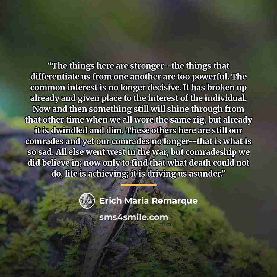 “The things here are stronger--the things that differentiate us from one another are too powerful. The common interest is no longer decisive. It has broken up already and given place to the interest of the individual. Now and then something still will shine through from that other time when we all…” quote by Erich Maria Remarque