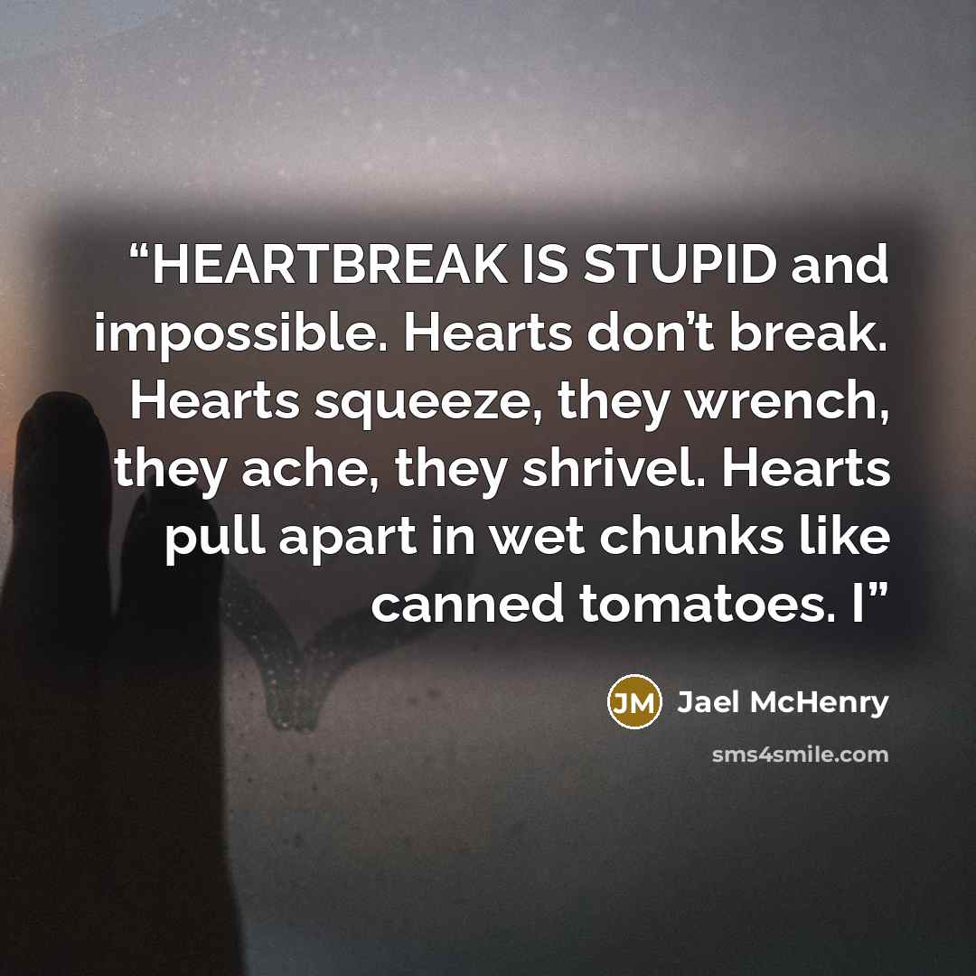 “HEARTBREAK IS STUPID and impossible. Hearts don’t break. Hearts squeeze, they wrench, they ache, they shrivel. Hearts pull apart in wet chunks like canned tomatoes. I” quote by Jael McHenry
