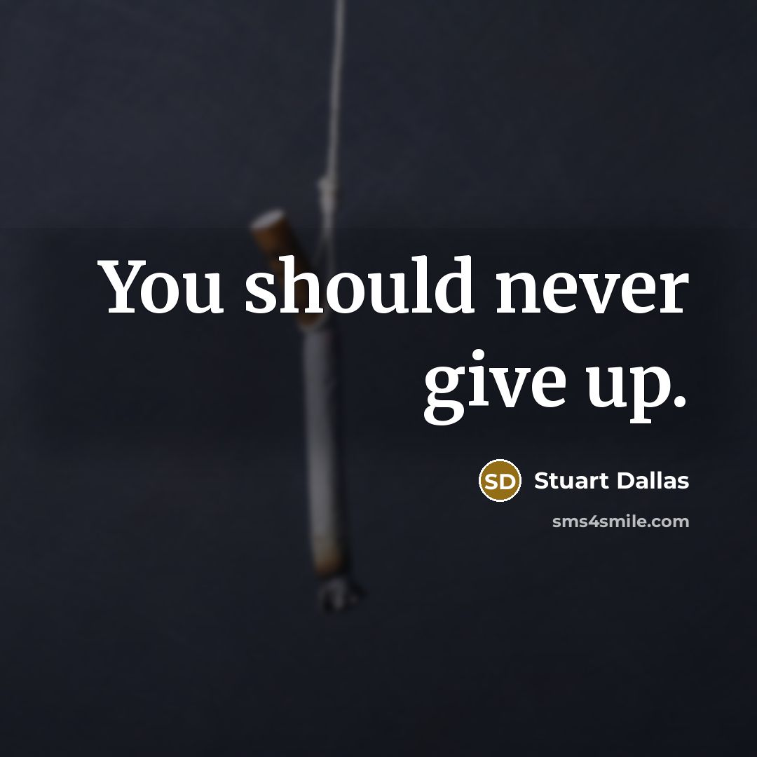 “You should never give up.” quote by Stuart Dallas