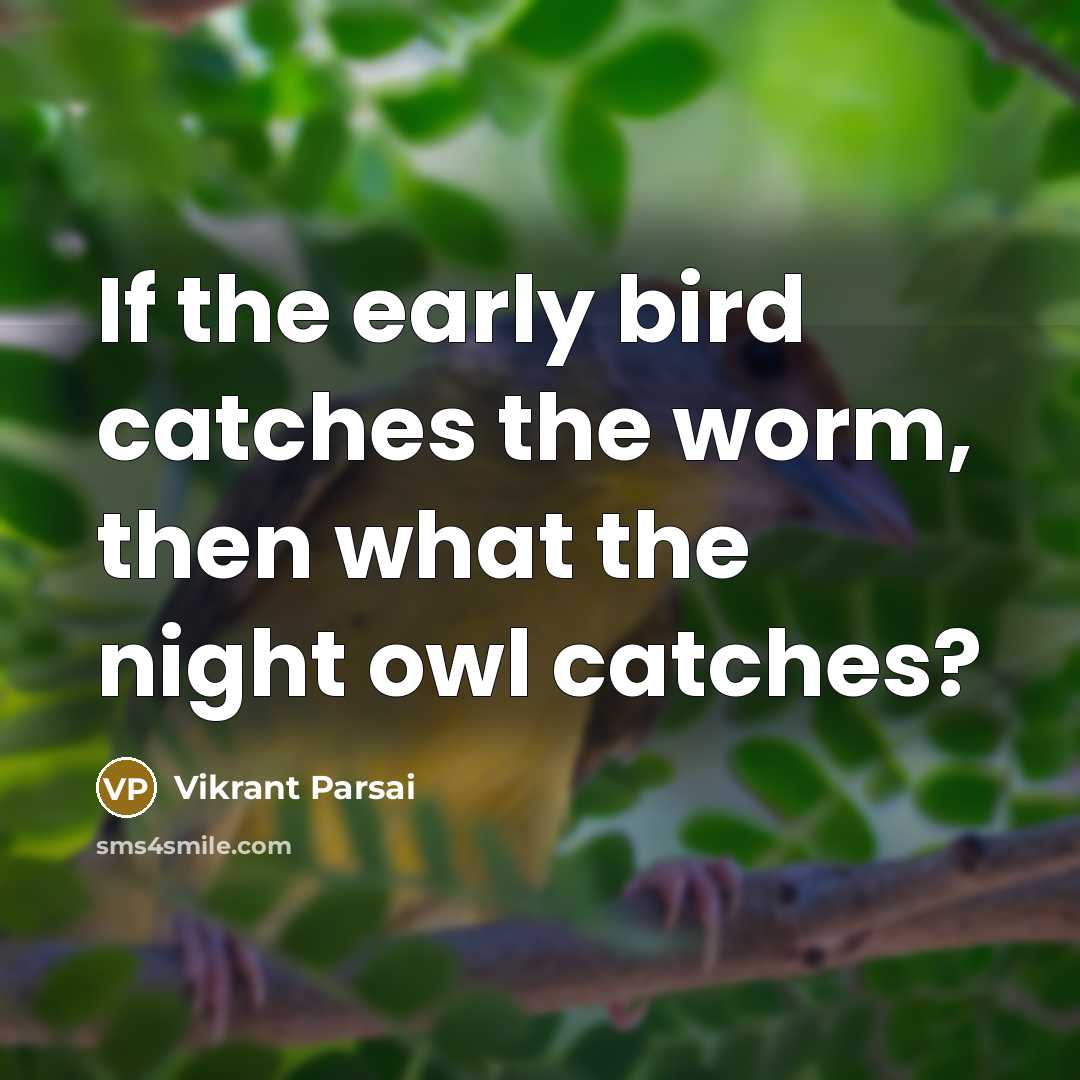 “If the early bird catches the worm, then what the night owl catches?” quote by Vikrant Parsai